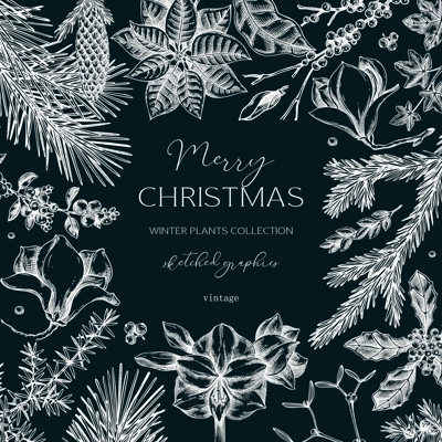 Winter nature frame design. Christams card template. Conifer trees, winter flowers sketches. Hand-drawn vector illustration on chalkboard. NOT AI generated